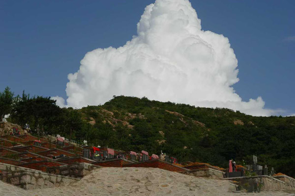 沈阳公墓使用权年限及续费规定是怎样的？不同城市有何差异？