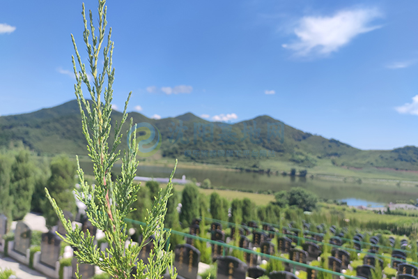 沈阳墓园坐拥上台水库自然馈赠,青云山的清明贴心服务安心!