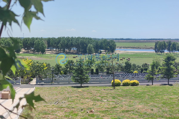 龙生人文纪念园 龙生人文纪念园