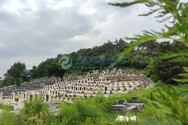 大河贝墓园 大河贝墓园