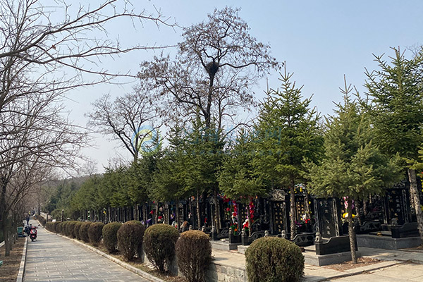 龙泉古园 龙泉古园