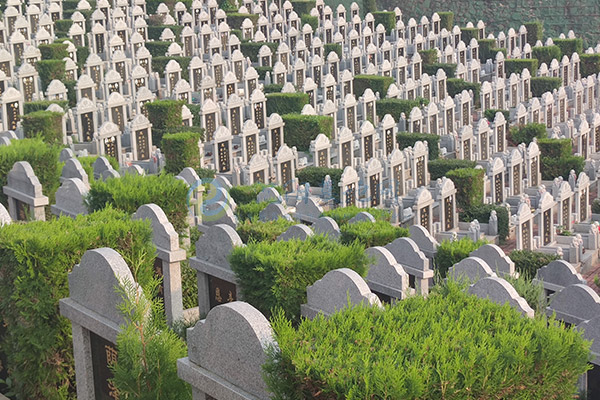 永乐青山墓园 永乐青山墓园