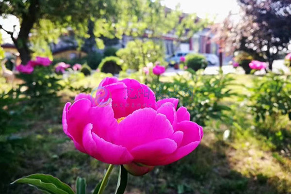 中华寺墓园 中华寺墓园