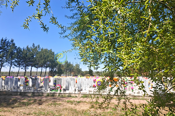 沈阳墓园有哪些?沈阳公墓墓地排名价格一览表 沈阳墓园有哪些?沈阳公墓墓地排名价格一览表