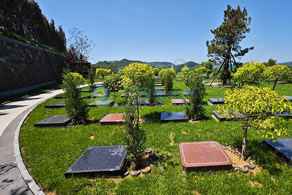 沈阳森林墓园 沈阳森林墓园