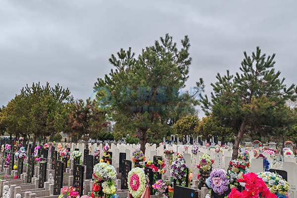 沈阳龙凤墓园 沈阳龙凤墓园