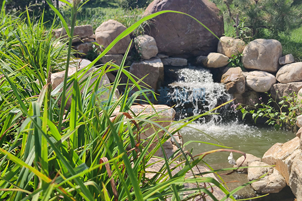 沈阳墓园坐拥上台水库自然馈赠,青云山的清明贴心服务安心! 沈阳墓园坐拥上台水库自然馈赠,青云山的清明贴心服务安心!