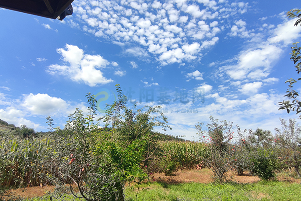沈阳墓园坐拥上台水库自然馈赠,青云山的清明贴心服务安心! 沈阳墓园坐拥上台水库自然馈赠,青云山的清明贴心服务安心!