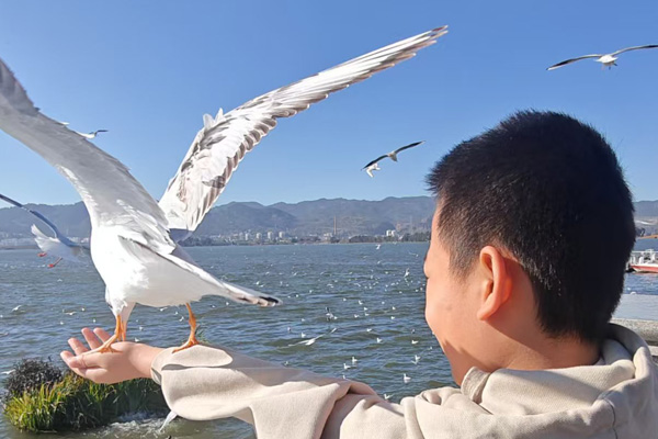 沈阳经营性公墓的建立单位、建墓单位与经营性公墓是不同的法律主体?