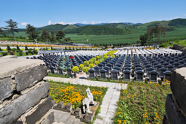 2026沈阳墓园清明选墓全攻略:惠民政策大放送,生态安葬省钱又暖心 2026沈阳墓园清明选墓全攻略:惠民政策大放送,生态安葬省钱又暖心