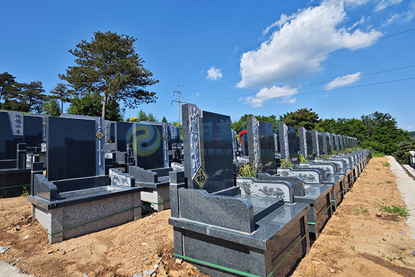 2026沈阳墓园清明选墓全攻略:惠民政策大放送,生态安葬省钱又暖心 2026沈阳墓园清明选墓全攻略:惠民政策大放送,生态安葬省钱又暖心