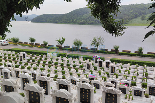 大河贝生态息园 大河贝生态息园